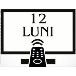 12 LUNI